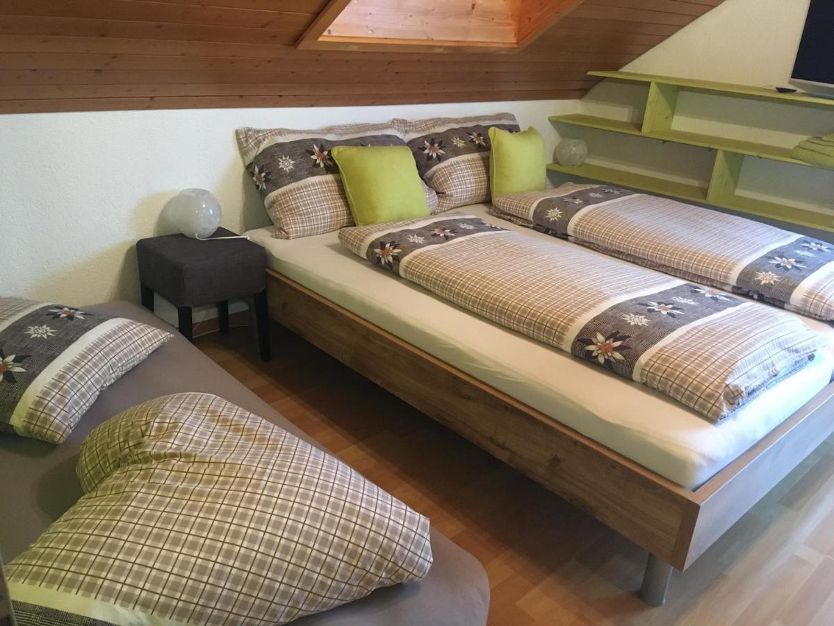 Pension Chalet Charme Siebnen エクステリア 写真