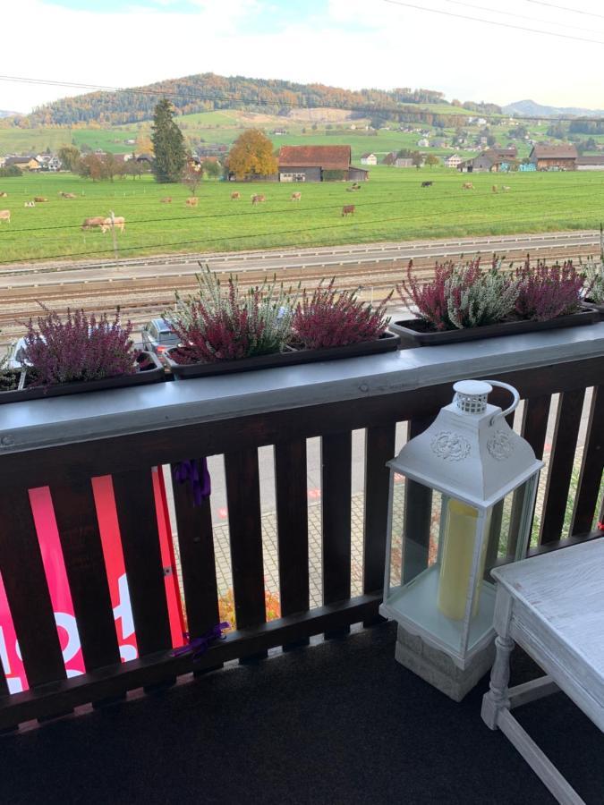 Pension Chalet Charme Siebnen エクステリア 写真