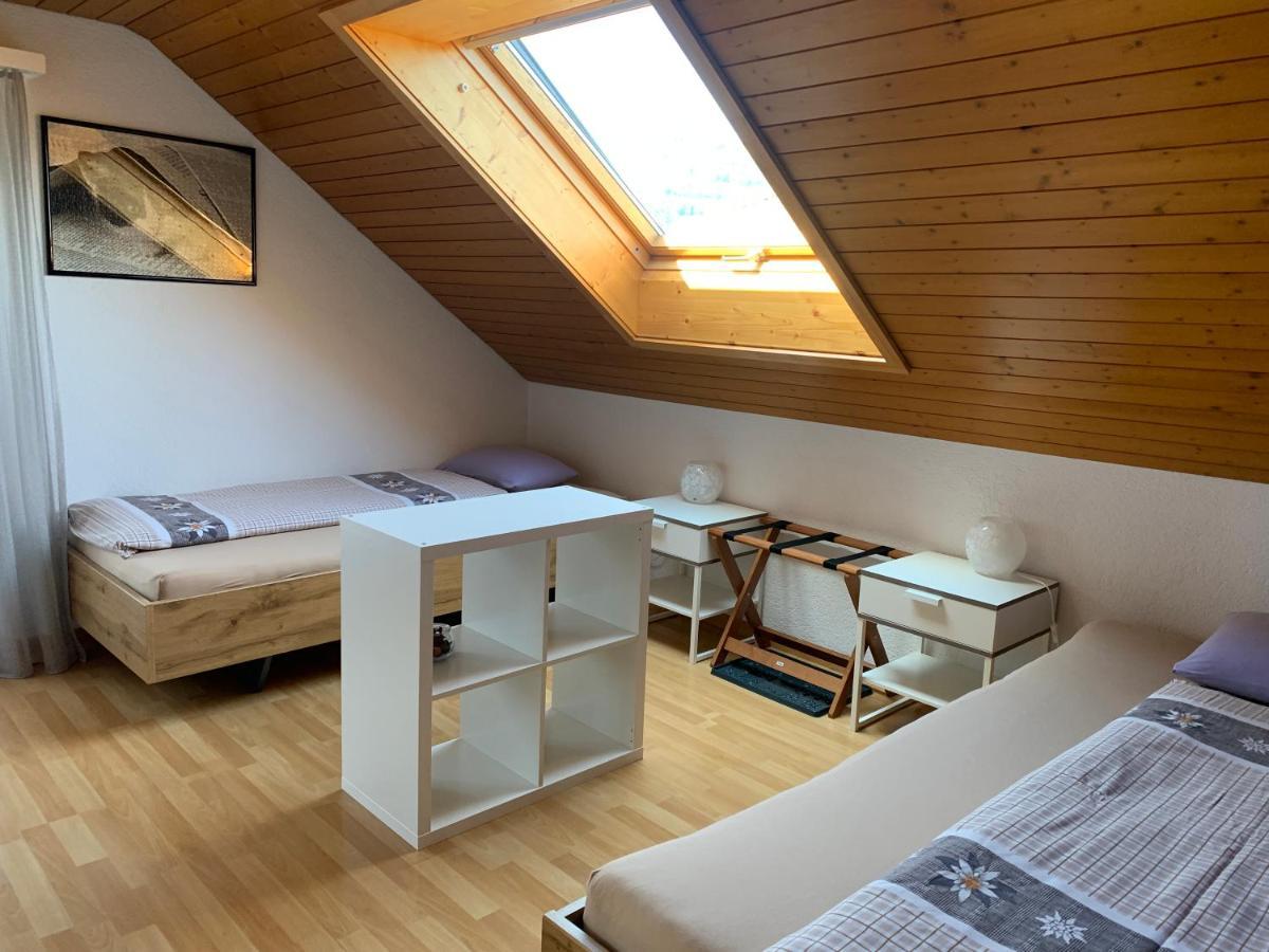 Pension Chalet Charme Siebnen エクステリア 写真